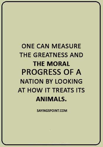 nature quotes - “One can measure the greatness and the moral progress of a nation by looking at how it treats its animals.” 