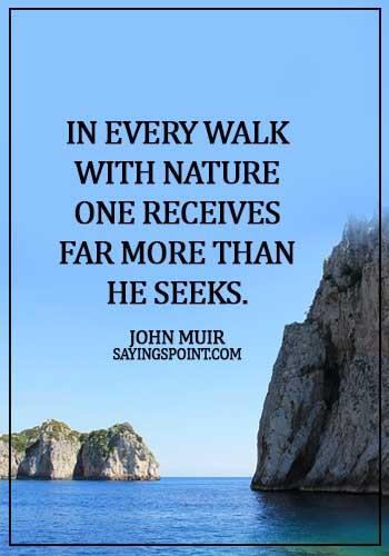 Nature Sayings - In every walk with nature one receives far more than he seeks. - John Muir
