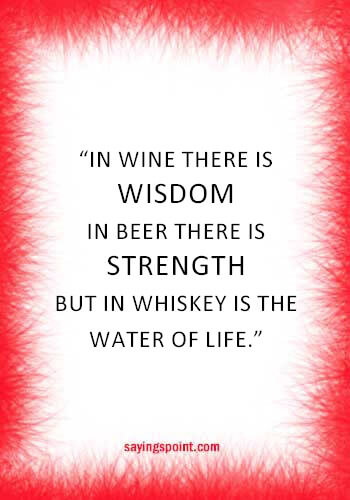 funny quotes about drinking alcohol - "In wine there is wisdom, in beer there is freedom, in water there is bacteria." —Benjamin Franklin