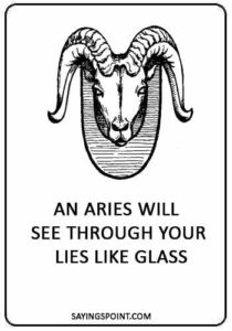 Aries Sayings - “Aries don’t quit. They give head till you’re red.