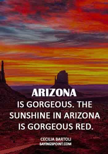 Arizona Sayings - All the great pleasures of life are silent. - Georges Clemenceau
