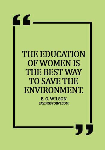 Environment Sayings - The education of women is the best way to save the environment.