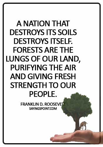 Save Environment Quotes - "A nation that destroys its soils destroys itself. Forests are the lungs of our land, purifying the air and giving fresh strength to our people." —Franklin D. Roosevelt