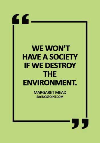 Save Environment Sayings -  "We won’t have a society if we destroy the environment." —Margaret Mead