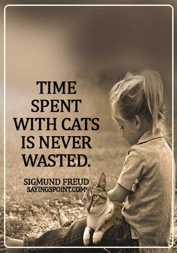 Cat  Sayings - Time spent with cats is never wasted. - Sigmund Freud