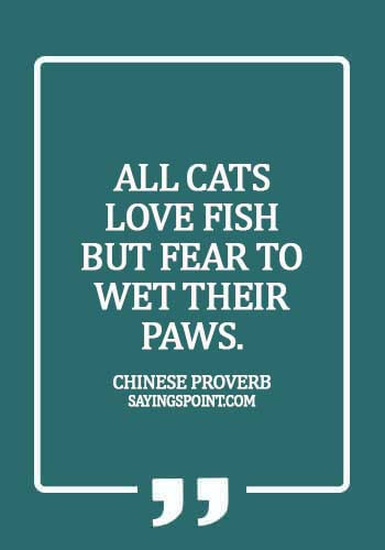 Cat  Sayings - All cats love fish but fear to wet their paws. - Chinese Proverb