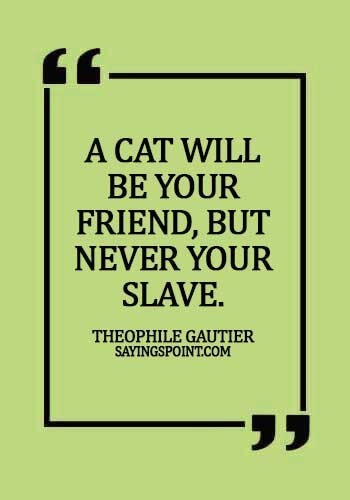 Cat Quotes - A cat will be your friend, but never your slave. - Theophile Gautier