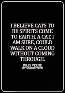 cool cat quotes - I believe cats to be spirits come to earth. A cat, I am sure, could walk on a cloud without coming through. - Jules Verne