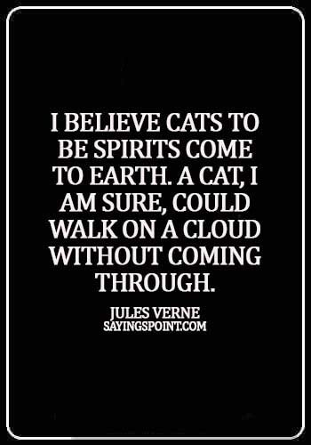 cool cat quotes - I believe cats to be spirits come to earth. A cat, I am sure, could walk on a cloud without coming through. - Jules Verne
