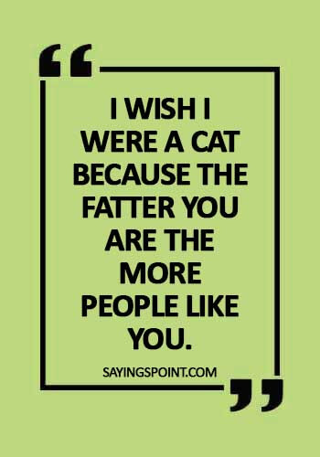 funny cat quotes for instagram - I wish I were a cat because the fatter you are the more people like you.