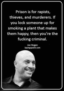 funny smoking weed quotes - “Prison is for rapists, thieves, and murderers. If you lock someone up for smoking a plant that makes them happy, then you’re the fucking criminal.” —Joe Rogan