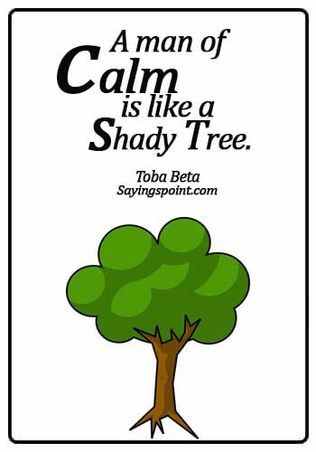 Keep Calm Quotes - A man of calm is like a shady tree. - Toba Beta