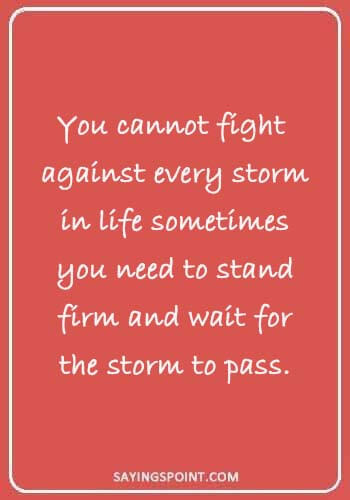 Storm Quotes - “You cannot fight against every storm in life sometimes you need to stand firm and wait for the storm to pass.” 