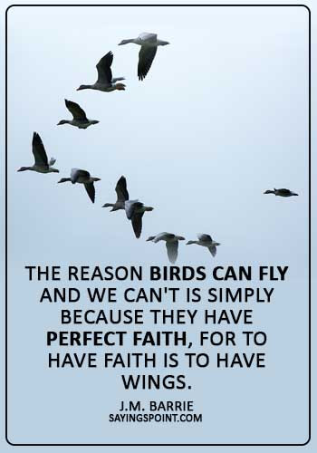 Birds Sayings -"The reason birds can fly and we can't is simply because they have perfect faith, for to have faith is to have wings." —J.M. Barrie