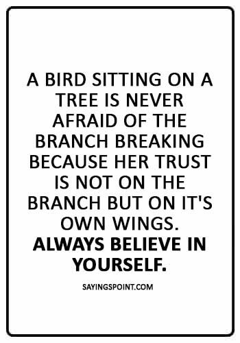 Birds Sayings -"A bird sitting on a tree is never afraid of the branch breaking because her trust is not on the branch but on it's own wings. Always believe in yourself." 
