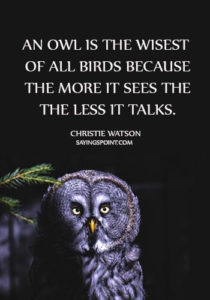 Wise Old Owl Sayings Owl Quotes (4) Sayings Point