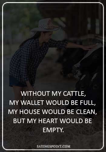 Cow Quotes -  “Without my cattle, my wallet would be full, my house would be clean, but my heart would be empty.” 