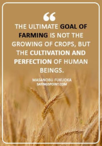 Farming Quotes - “The ultimate goal of farming is not the growing of crops, but the cultivation and perfection of human beings.” —Masanobu Fukuoka