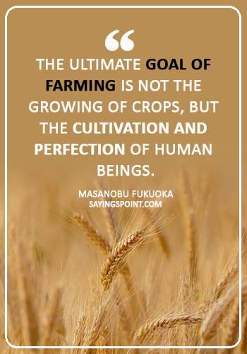 Farming Quotes - “The ultimate goal of farming is not the growing of crops, but the cultivation and perfection of human beings.” —Masanobu Fukuoka