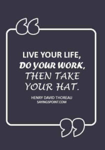47 Hat Quotes and Sayings Sayings Point