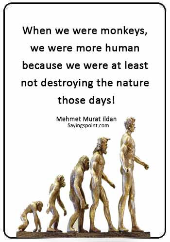 Monkey Sayings -"When we were monkeys, we were more human because we were at least not destroying the nature those days!" —Mehmet Murat ildan