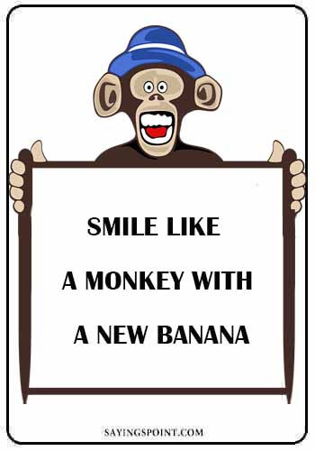 Monkey Quotes - "Smile like a monkey with a new banana." —Unknown