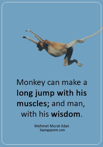 Monkey Sayings - "Monkey can make a long jump with his muscles; and man, with his wisdom." —Mehmet Murat ildan