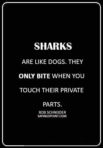 Shark Sayings - “Sharks are like dogs. They only bite when you touch their private parts.” —Rob Schneider