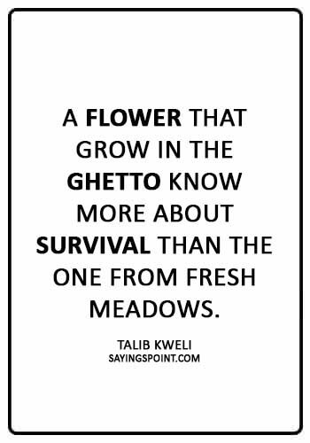 Ghetto Sayings - “A flower that grow in the ghetto know more about survival than the one from fresh meadows.” —Talib Kweli