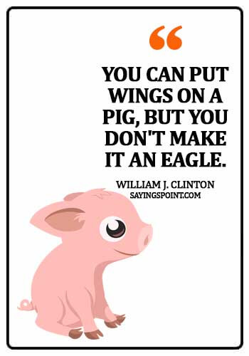 Pig Quotes - "You can put wings on a pig, but you don't make it an eagle." —William J. Clinton