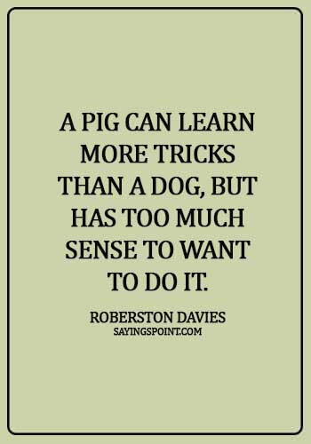 Pig Sayings - "A pig can learn more tricks than a dog, but has too much sense to want to do it." —Roberston Davies