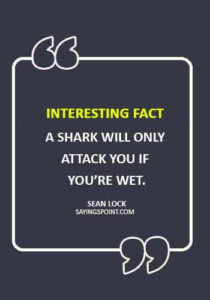 Shark Quotes - Interesting fact: a shark will only attack you if you’re wet.” —Sean Lock
