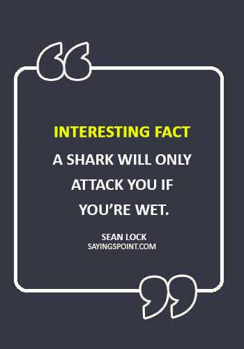Shark Quotes - Interesting fact: a shark will only attack you if you’re wet.” —Sean Lock